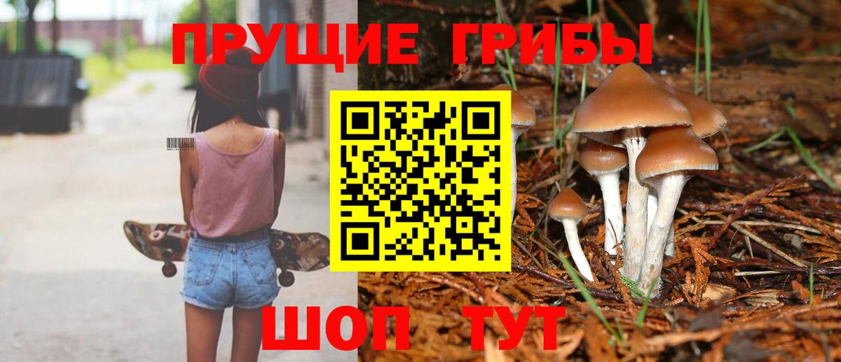 Псилоцибиновые грибы Psilocybine cubensis  Псилоцибиновые грибы мухоморы  Волжский  где продают   Вход с VPN 