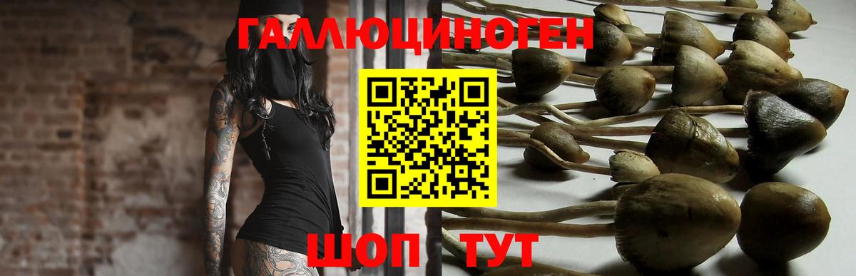 Галлюциногенные грибы Magic Shrooms Волжский